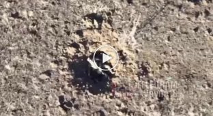 Ukrainian FPV drones attack Russian infantry in the Zaporozhye direction