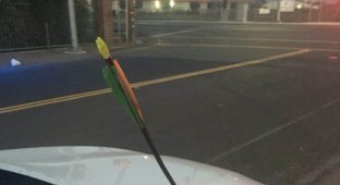 Женщина остановилась на светофоре, когда в капот её машины прилетела стрела (3 фото)