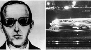 The passenger hijacked the plane and disappeared (7 photos)