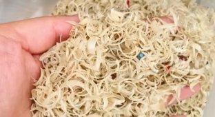 На что китайцы закупают сотни килограмм человеческих ногтей (5 фото)