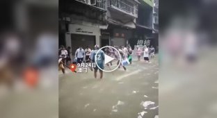 After Typhoon Ragas, Chinese residents caught fish right on the streets