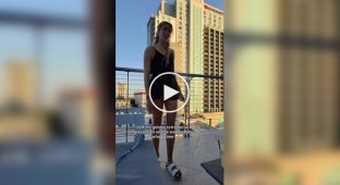Пес не отводит взгляд от хозяйки