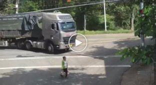 An old woman with nets is hit by a truck driver