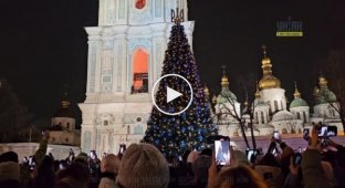 The country's main Christmas tree shone on Sophia Square