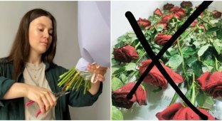 Флорист честно рассказала, как правильно выбирать цветы, чтобы не выкидывать деньги (5 фото)