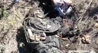 Burnt and mutilated bodies of Russian invaders lie in a field in the Luhansk region