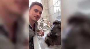Парень купает своего бабуина в ванне
