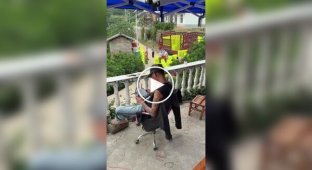 Коли попросив онука допомогти зі збором апельсинів