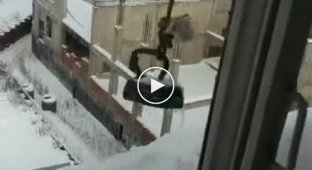 В Петербурге решили применить современные технологии для уборки снега