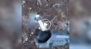 A Ukrainian drone drops a grenade directly on a Russian drone that was trying to shoot it down