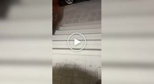 Часом польська мова зрозуміла без перекладу