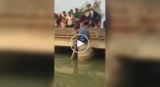 A man caught a python with almost bare hands