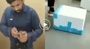 Сотрудник по упаковке коробок, покажет как быстро упаковать для отправки