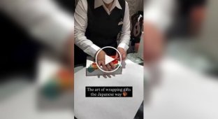 Настоящее искусство: японский метод упаковки подарков