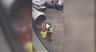 A plane was unable to take off due to bees