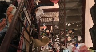 Что спасатели увидели в обычной квартире в Купчино? (10 фото + видео)