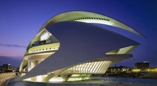 Необыкновенная архитектура оперного театра Валенсии (24 фото)