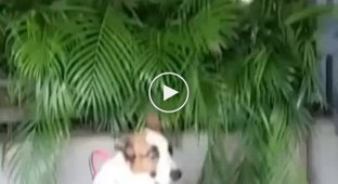 Спокій та витримка