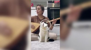 Дуэт года: Кот и его хозяйка исполняют народную песню