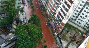 Кровавые реки на улицах Дакки во время празднования Курбан-байрама (6 фото)