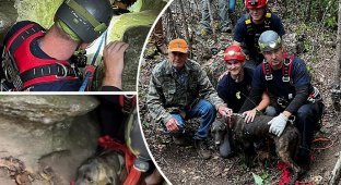 In the USA, a dog was rescued after it spent three days in a cave with a bear (4 photos + 1 video)