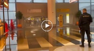 Hungry employee of Sheremetyevo accidentally caused a flood at the airport