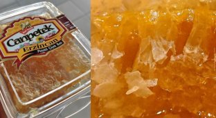 Honey from Turkey under a microscope (34 photos)