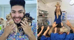 18 pictures confirming that the hard everyday life of veterinarians is fully compensated by a mountain of interesting things (18 photos)