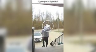 The owner did not notice how he left without his dog