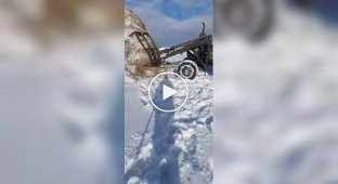 И выгнали дикого кабана из его нового дома