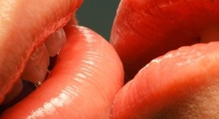 Архив. Эти прекрасные женские губы (15 фотографий)
