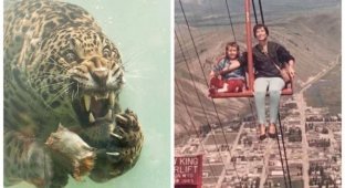22 фото очень странных и даже пугающих вещей, которые существуют на самом деле (21 фото)