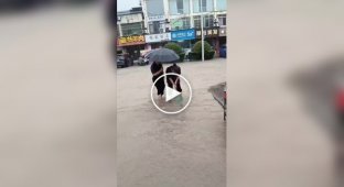 People in China fish in the streets after a typhoon