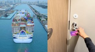 Туристи показали, як виглядає найбільший круїзний лайнер усередині (1 фото + 4 відео)
