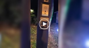 Фонари, в которых можно зарядить смартфон