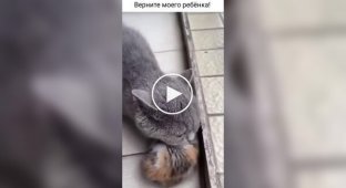 Кошмар, ребенок без присмотра