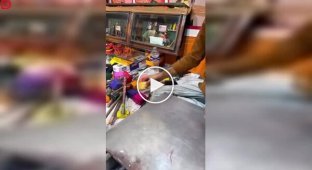 How traditional Indian bracelets are made from natural resin and handcrafted crafts