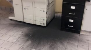 Взрыв офисного тонера (2 фото)