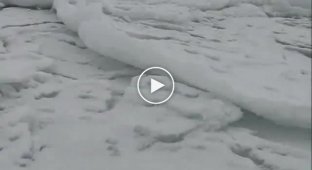 Море скрипящее льдом
