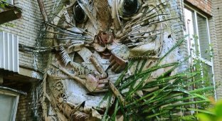 Вымирающий вид. Гигантская белка-летяга появилась в Таллинне (13 фото)