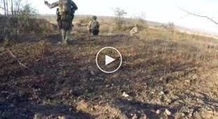 Подборка видео с пленными и убитыми в Украине. Выпуск 55