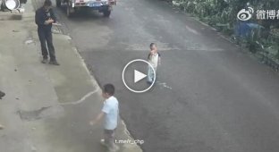 Хлопчик дражнив пса і був покараний