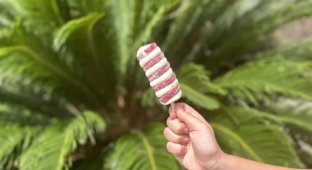 Чоловік виявив змію у своєму морозиві (3 фото)