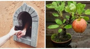 12 пронзительных фотографий с историей, которые трогают до глубины души (13 фото)