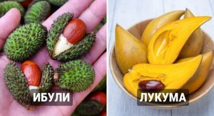 15 редких, но съедобных плодов, о существовании которых вы, вероятно, никогда не слышали (16 фото)