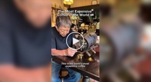 The place where the most expensive coffee in the world is served