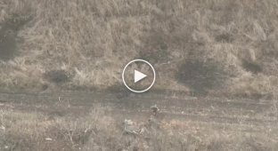 Приліт українського дрона-камікадзе російським військовим на Східному напрямку