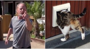 Neighbors accused the American of "seducing" their cat (5 photos + 1 video)