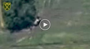 Знищили російський артилерійський протибатарейний комплекс 1Л-219 «Зоопарк-1» у Запорізькій області