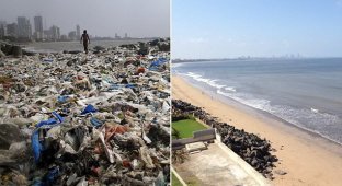 Добровольцы очистили индийский пляж от 5000 тонн мусора (9 фото)